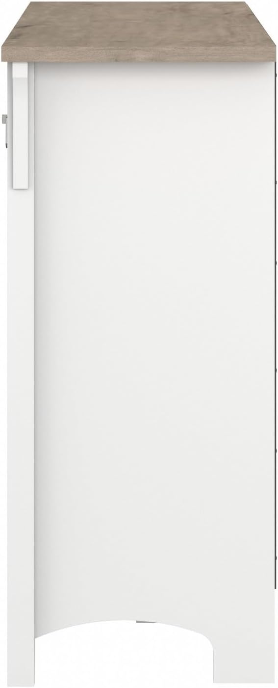 Bush Furniture Salinas Accent Storage Cabinet with Doors in Pure White and Shiplap Gray