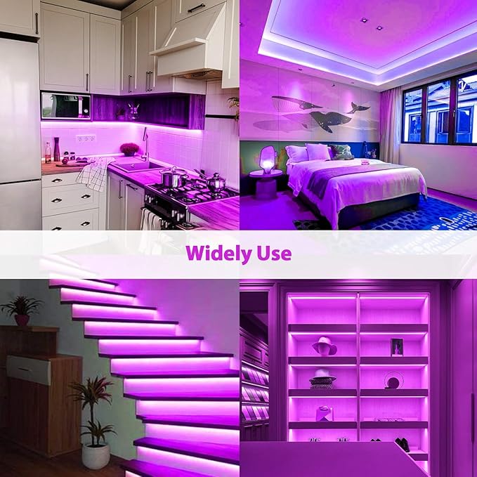 Lamomo LED Neon Lights Halloween, 16.4ft Purple LED Strip Light, 12V 0.39In/Cut Silicone Waterproof DIY Neon Rope Light for Bedroom Indoor Outdoor Decoration(Power Adapter not Included)