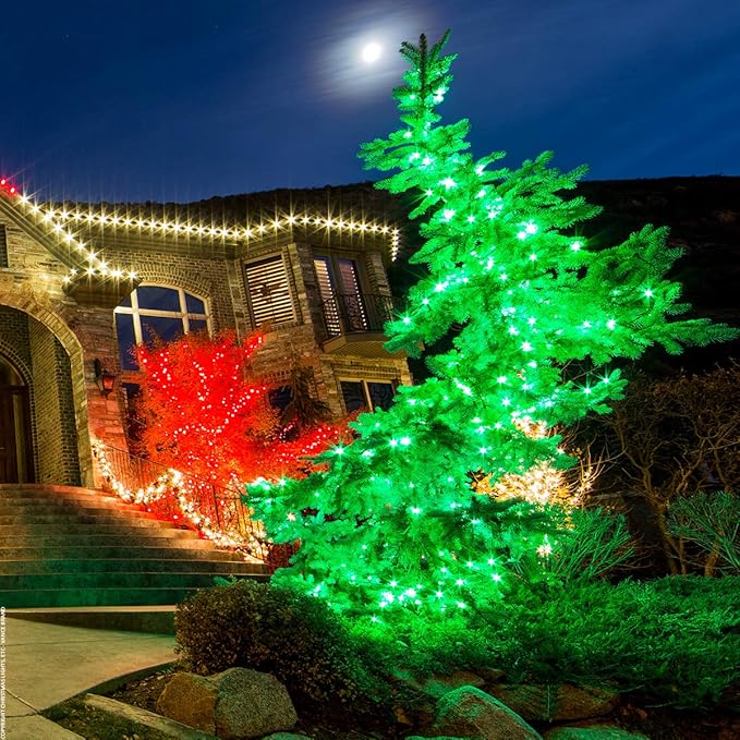 70 Green LED Christmas Lights, 24 ft Green Wire Indoor/Outdoor Mini String, Commercial Grade Tree & Holiday Lighting, 5mm — Halloween & St. Patrick’s Day