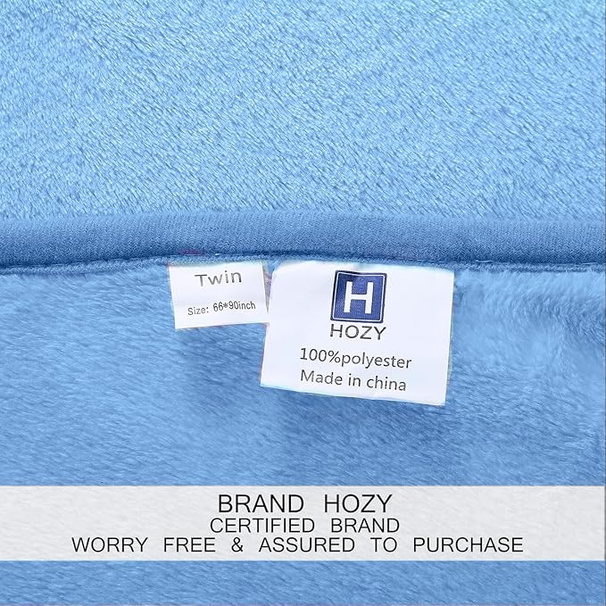Soft Travel Size Throw for All Season Warm Fuzzy Microplush Lightweight Thermal Fleece Summer Autumn Fall Winter Spring Blankets for Bed Couch Sofa,50x60 Inches,Washed Blue
