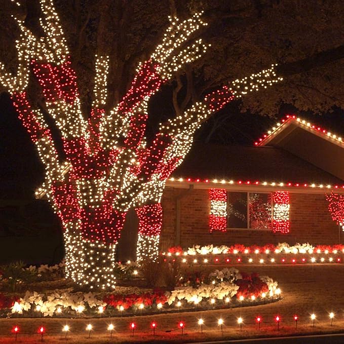Wintergreen Lighting 50 5mm LED Red Christmas Lights, 6 Spacing, 25' Valentines Day Holiday Lights Mini Lights LED String Lights Christmas String Lights