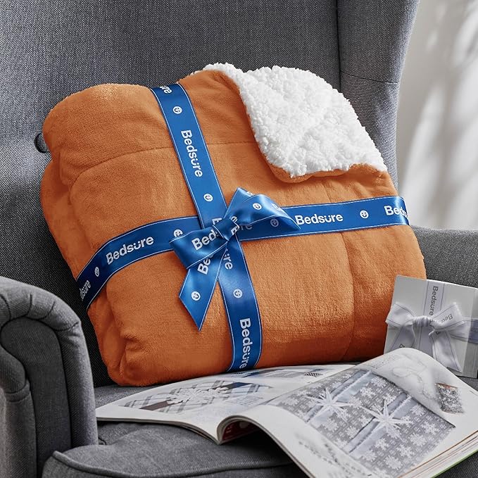 Bedsure GentleSoft Sherpa Fleece Throw Blanket Twin Size for Couch - Thick and Warm Throw for Women and Men, Soft Fuzzy Plush Twin Blanket for Winter, Burnt Orange, 60x80 Inches