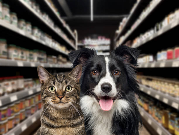 🛍️ Smart Shopping: How to Choose the Best Pet Products