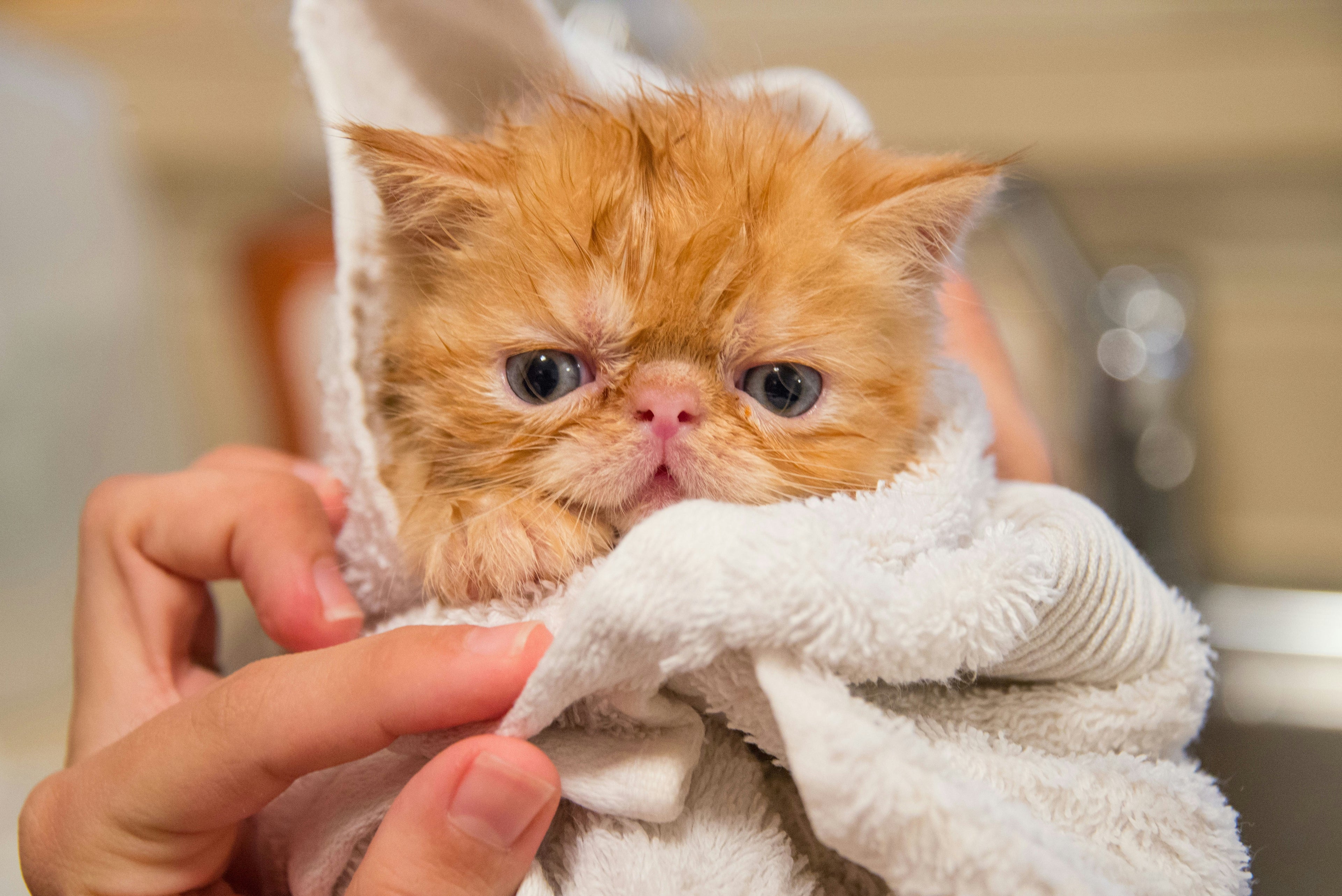 Bath & Dry