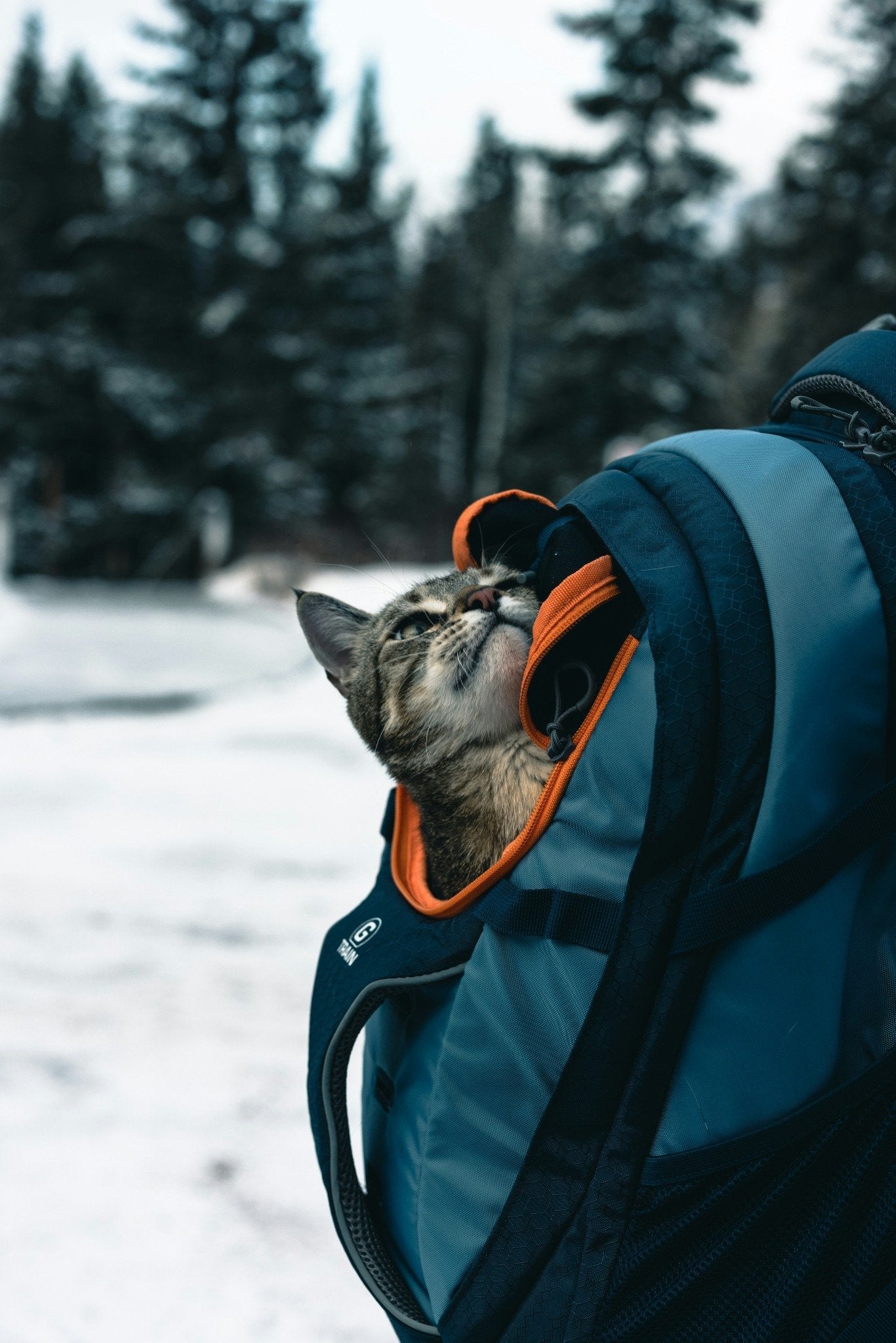 Backpack Carriers