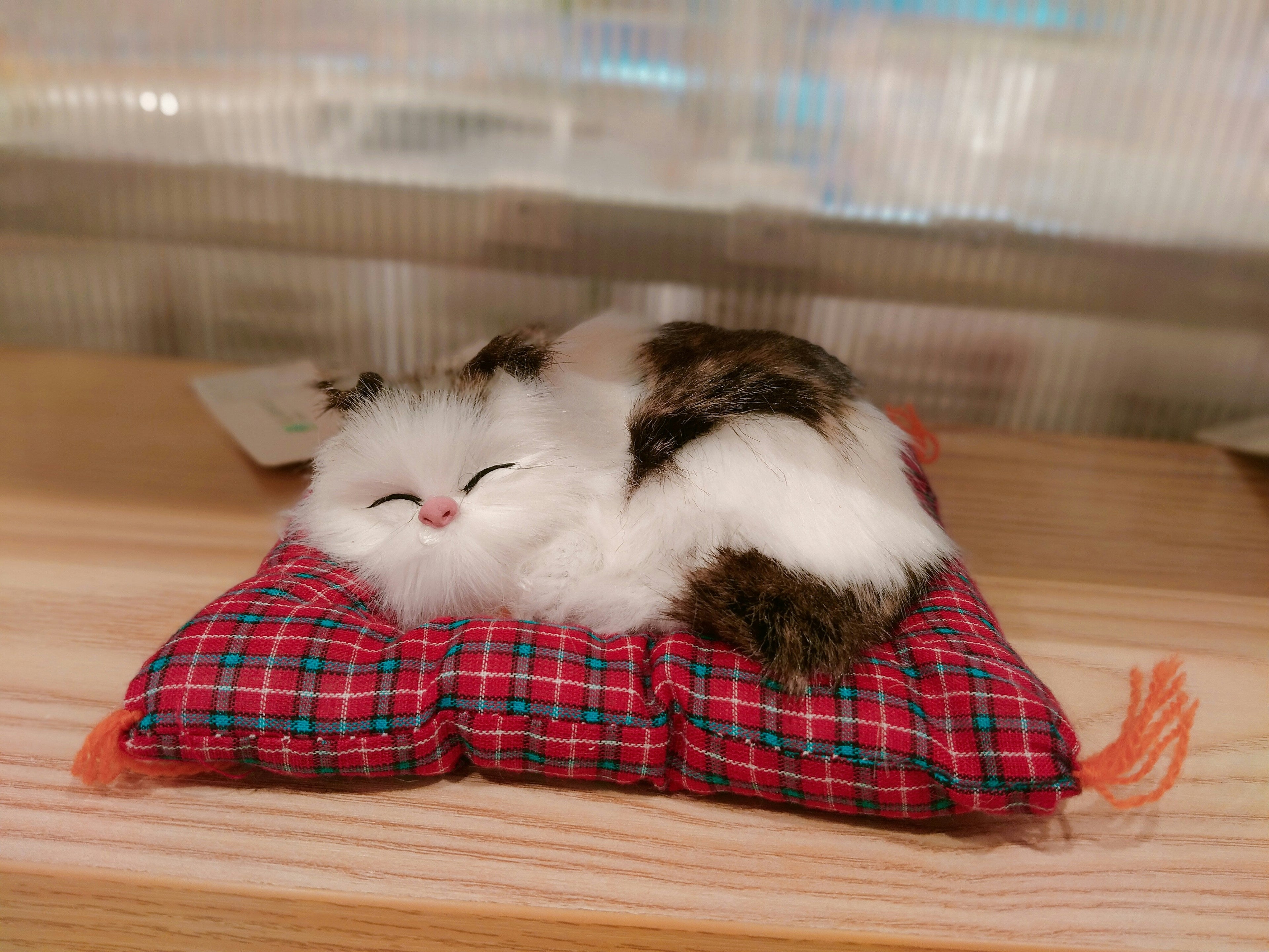 Cat Beds & Mats