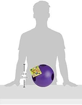 Jolly Pets Teaser Ball Dog Toy, Extra Large/10 Inches, Purple, X - Large/10 Inches (1510 PR)-Mewly Pet