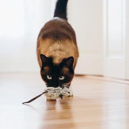 P.L.A.Y. Cute Plush Cat Toys - Feline Frenzy Animal Critter Themed Catnip Filled Toy, Great for Adult Cats and Kittens - Machine Washable, Recycled Materials, Crinkles (Catch a Meowse, Set of 2)-Mewly Pet