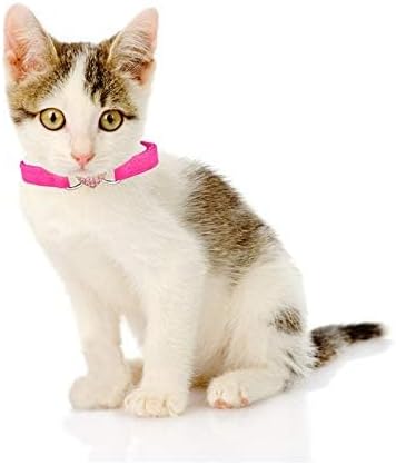 CHUKCHI Heart Bling Cat Collar with Safety Belt and Bell 8-11 Inches-Mewly Pet
