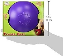 Jolly Pets Teaser Ball Dog Toy, Medium/6 Inches, Purple (1506 PR)-Mewly Pet