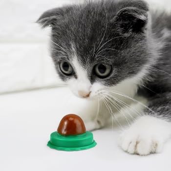 BESPORTBLE 10Pcs Catnip Balls Cat Catnip Ball Natural Licking Edible Wall Stick on Cat Licker Toy Pet Lollipop-Mewly Pet