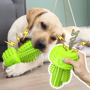 Dog Chew Toys Dog Toothbrush Stick Teeth Cleaning Brush Dental for Small Medium Large Dog, Rubber Squeaky Toys for Aggressive Chewers Cactus Tough Toys-Mewly Pet