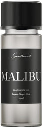 Scentiment Diffuser Oil- Malibu | Aromatherapy Home Fragrance | Inspired by Nobu® Hotel | Luxurious Scent with Notes of Lemon, Ginger, Musk (20 mL)