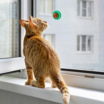 BESPORTBLE 10Pcs Catnip Balls Cat Catnip Ball Natural Licking Edible Wall Stick on Cat Licker Toy Pet Lollipop-Mewly Pet