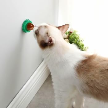 BESPORTBLE 10Pcs Catnip Balls Cat Catnip Ball Natural Licking Edible Wall Stick on Cat Licker Toy Pet Lollipop-Mewly Pet