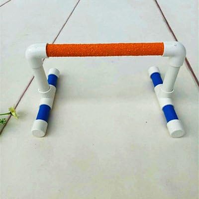 Hypeety Small Bird Parrot Stand Perch Table Top Stand Playground Grind Perch Swing Training Playstand Exercise Chew Toys for Budgies Parakeet Cockatiel Conure Finch (Perch, L)-Mewly Pet