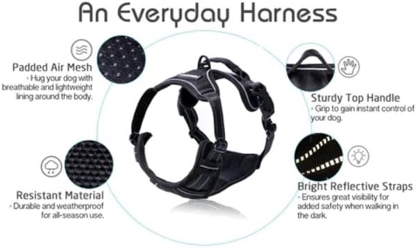 rabbitgoo Dog Harness No Pull with 2 Leash Clips, Adjustable Soft Padded, Reflective Oxford No Choke Pet Vest with Easy Control Handle for Large Dogs, Black, L-Mewly Pet