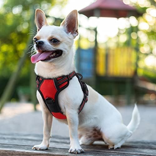 rabbitgoo Dog Harness No Pull with 2 Leash Clips, Adjustable Soft Padded, Reflective Oxford No Choke Pet Vest with Easy Control Handle for Puppy, Red,XS-Mewly Pet
