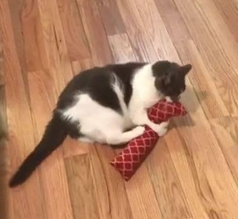 15" Catnip Cat Kicker Toys/Kitty Kick Sticks/Cat-Nip Kick Sticks (Rose Red) (Kickers Filled with 1 oz Premium Canadian Catnip)-Mewly Pet