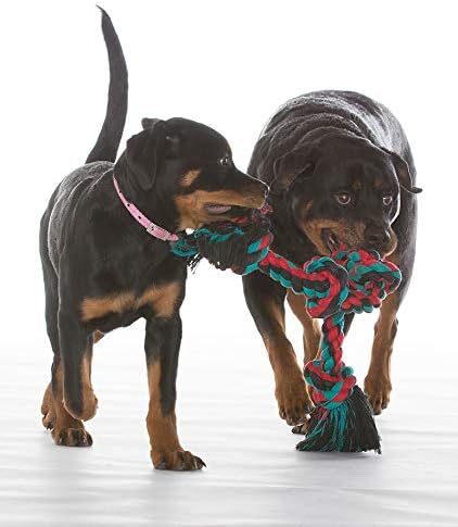 Mammoth Flossy Chews Color Rope Tug – Premium Cotton-Poly Tug Toy for Dogs – Interactive Dog Rope Toy – Tug Dog Chew Toy-Mewly Pet