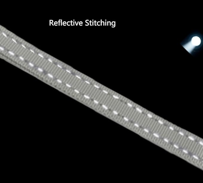 Hands Free Dog Leash for Large Medium Dogs Heavy Duty Bungee Reflective Adjustable Waist Leashes for Walking Running with Car Buckle 4-6FT (Grey)-Mewly Pet