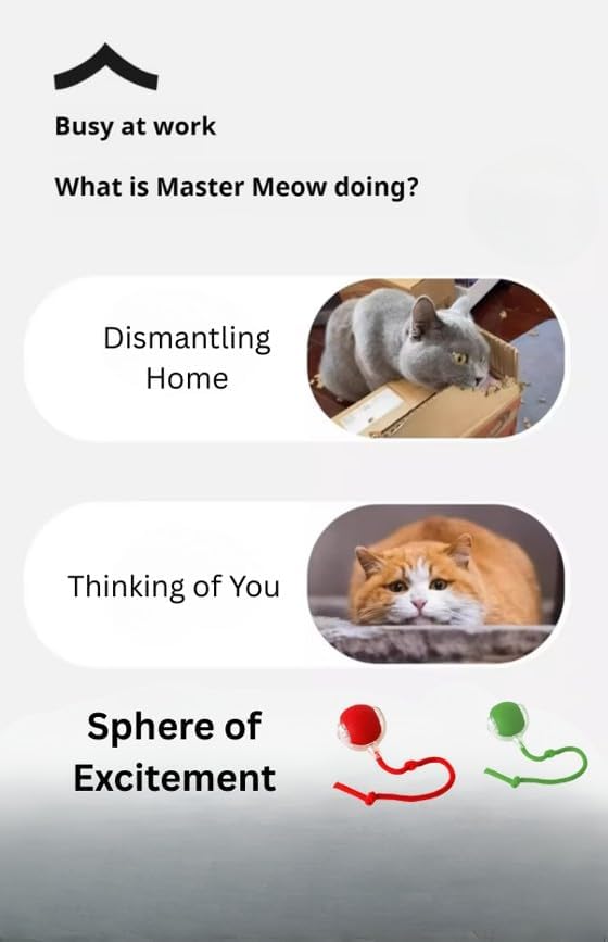 Indoor Cat Interactive Toy 360-degree Automatic Rolling Toy with Floor Flashing and Random Rolling for Cats and Dogs. Continuous Excitement, Fun and Stimulation for Your Cats and Dogs (Green)-Mewly Pet