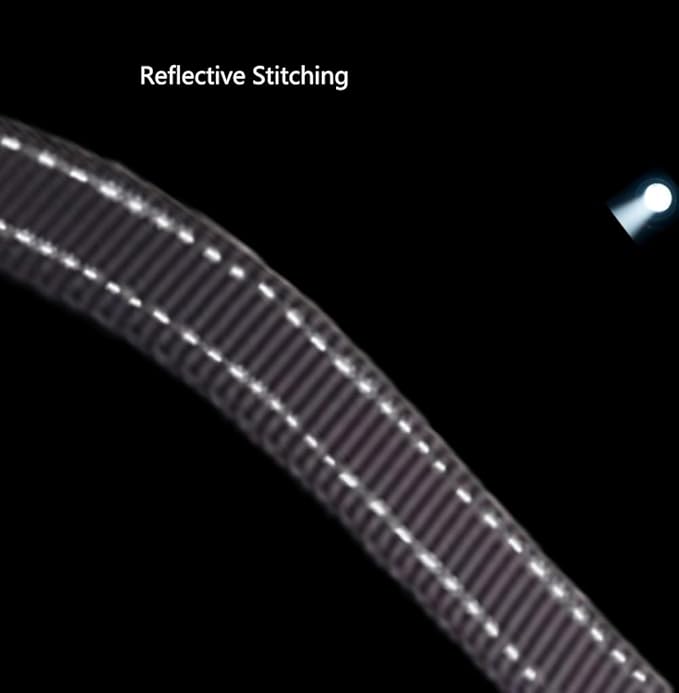 Hands Free Dog Leash for Large Medium Dogs Heavy Duty Bungee Reflective Adjustable Waist Leashes for Walking Running with Car Buckle 4-6FT (Black)-Mewly Pet