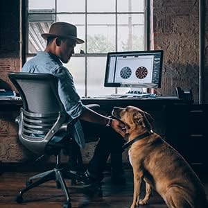 Flea and Tick Collar for Small Dog, Made with Natural Plant Based Essential Oil, Safe and Waterproof, Free Comb and Prevention Treatment Drop, 2x6 Month, 13.8 in (2 Packs)-Mewly Pet