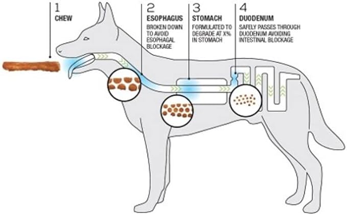 Collagen Pretzels, Bully - Collagen Dog Treats - Long Lasting Healthy Joint Support Dog Treat - Rawhide Alternative - Skin & Coat Health, 1 Bag, 8 Count-Mewly Pet
