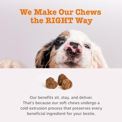 Zesty Paws Probiotics for Dogs - Digestive Enzymes for Gut Flora, Digestive Health, Diarrhea & Bowel Support - Clinically Studied DE111 - Dog Supplement Soft Chew for Pet Immune System - Pumpkin-Mewly Pet