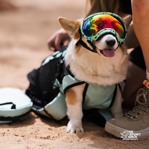 K9 Sport Sack | Plus 2 | Adjustable Dog Carrier Backpack (Small - Summer Mint)-Mewly Pet
