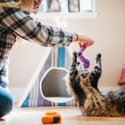 P.L.A.Y. Cute Cat Toys - Feline Frenzy Animal Critter Themed Catnip Filled Toy, Great for Adult Cats and Kittens - Machine Washable, Recycled Materials, Crinkles, Bungees (Wiggly Wormies, Set of 2)-Mewly Pet