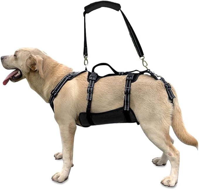Coodeo Dog Lift Harness, Support & Recovery Sling, Pet Rehabilitation Lifts Vest Adjustable Breathable Straps for Old, Disabled, Joint Injuries, Arthritis, Paralysis Dogs Walk (Black,XL)-Mewly Pet