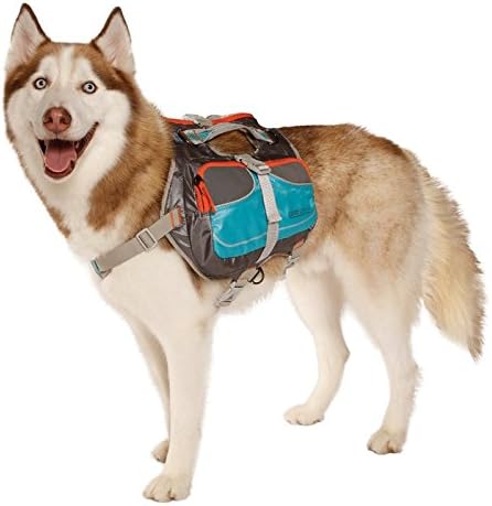Cesar Millan Dog Backpack (Small)-Mewly Pet