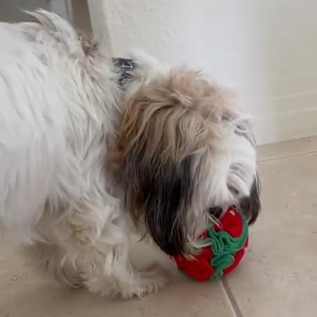 Puppy and Small Breed Snuffle Interactive Foraging Dog Puzzle Ball Toy Christmas Green and Red-Mewly Pet