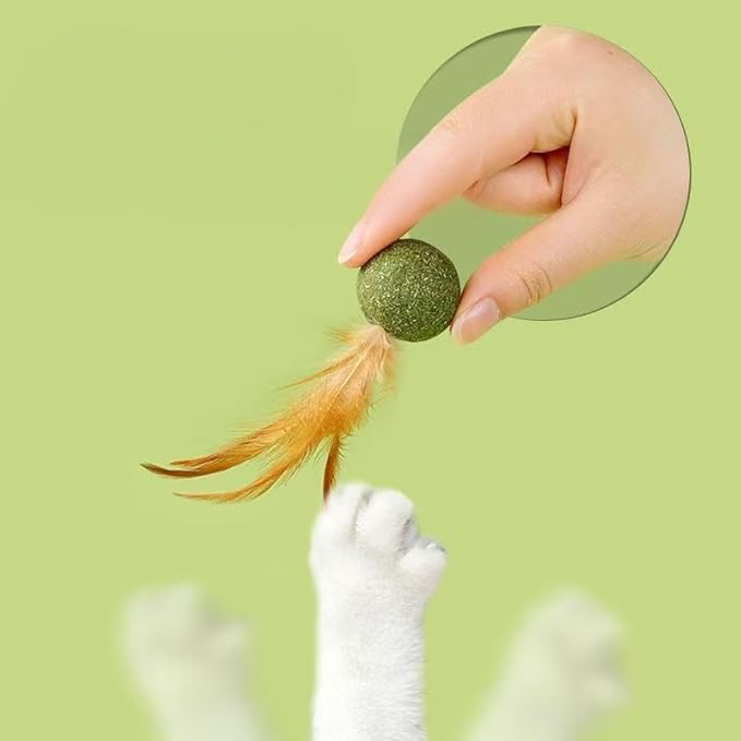 5 Pieces of Catnip Toys Ideal Catnip Ball to Stimulate Cat Exercising and Interacting Toys for Cats-Mewly Pet