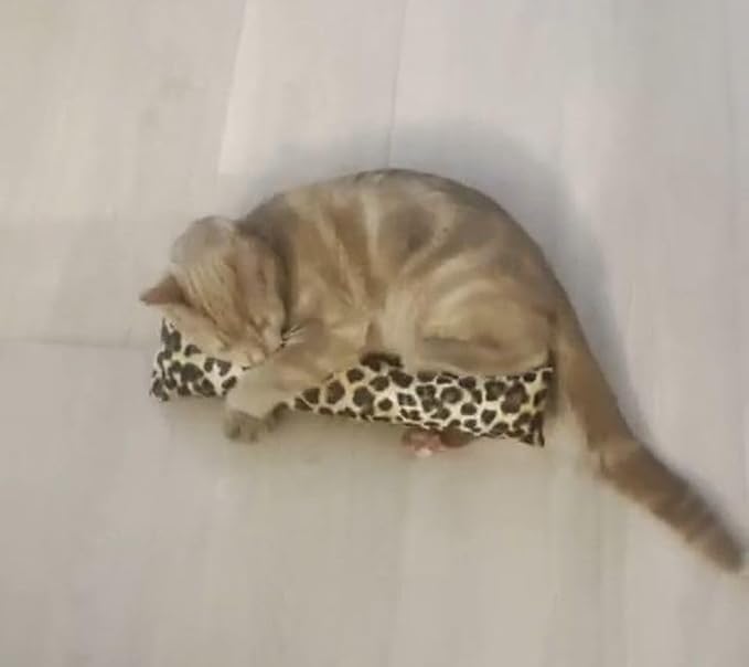 15" Catnip Cat Kicker Toys/Kitty Kick Sticks/Cat-Nip Kick Sticks (Leopard Print) (Kickers Filled with 1 oz Premium Canadian Catnip)-Mewly Pet