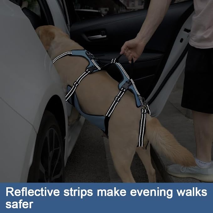 Coodeo Dog Lift Harness, Full Body Support & Recovery Sling, Pet Rehabilitation Lifts Vest for Old Dog with Arthritis Walk(Bule,L)-Mewly Pet