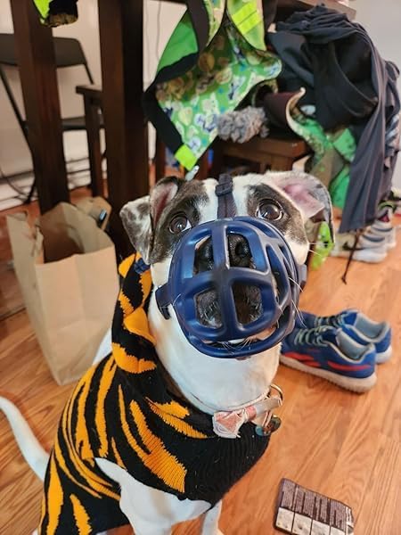 Mayerzon Dog Muzzle, Breathable Basket Muzzles for Small, Medium, Large and X-Large Aggressive Dogs Beagle German Shepherd Doberman, Cage Mouth Guard Stop Biting Chewing for Grooming Training-Mewly Pet