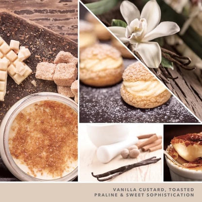 Yankee Candle ScentPlug Refill, Vanilla Creme Brulee, 1 CT (Pack of 6)