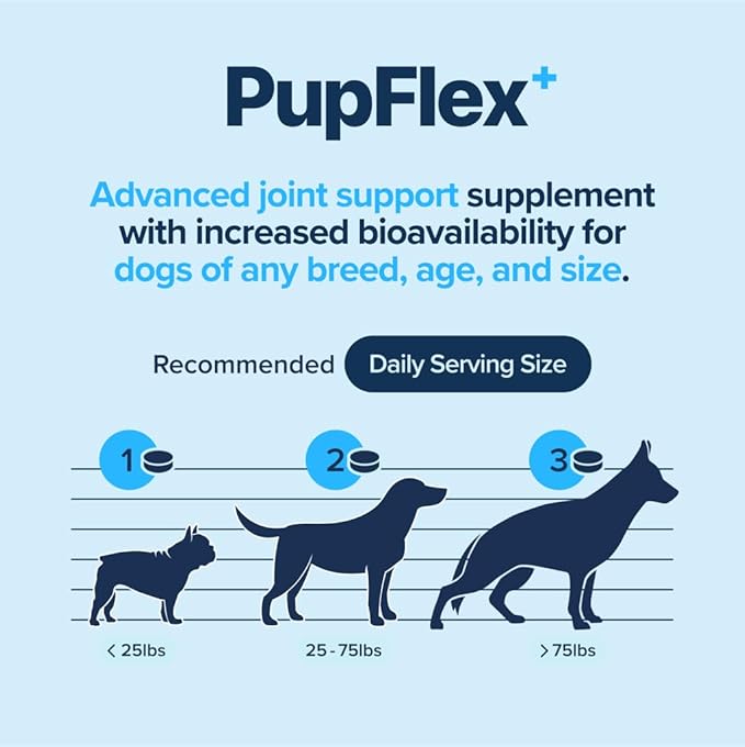 PupFlex+ Hip and Joint Supplement Dogs, Vet Created Soft Chews with UC-II® Collagen for Dogs, CurcuVET® & Omega 3, Proven More Effective Than Glucosamine Chondroitin, Dog Joint Supplement (60 ct)-Mewly Pet