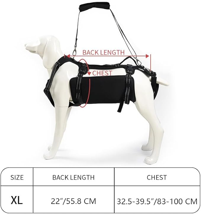 Coodeo Dog Lift Harness, Support & Recovery Sling, Pet Rehabilitation Lifts Vest Adjustable Breathable Straps for Old, Disabled, Joint Injuries, Arthritis, Paralysis Dogs Walk (Black,XL)-Mewly Pet