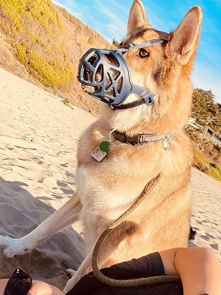 Mayerzon Dog Muzzle, Breathable Basket Muzzles for Small, Medium, Large and X-Large Aggressive Dogs Beagle German Shepherd Doberman, Cage Mouth Guard Stop Biting Chewing for Grooming Training-Mewly Pet