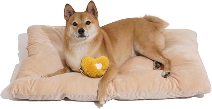 FUNNY FUZZY 2 in 1 Dog Crate Bed Pad for Large Sized Dog, Washable Reversible Pet Soft Mats,Durable Fluffy Kennel Mattress,Indoor Cats, 35" × 23", Beige-Mewly Pet