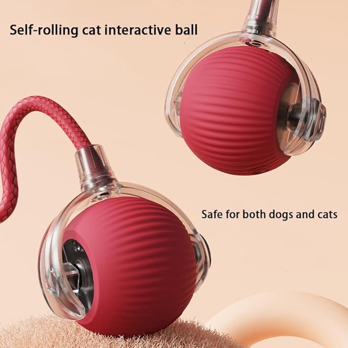 Interactive Cat Toy Ball for Indoor Cats - 3-Speed Smart Rolling Ball with Flashing Lights, USB Rechargeable Automatic Motion Kitten Toys for Bored Adult Cats & Playful Kittens-Mewly Pet