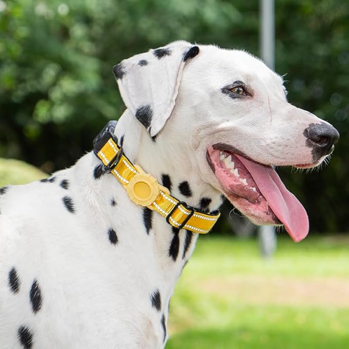 JSXD AirTag Dog Collar, Night Reflective Nylon Dog Collar for Small Medium Large Dogs,Lockable Quick Release Buckle,Padded Breathable Pet Collar with AirTag Holder (Yellow, Medium)-Mewly Pet