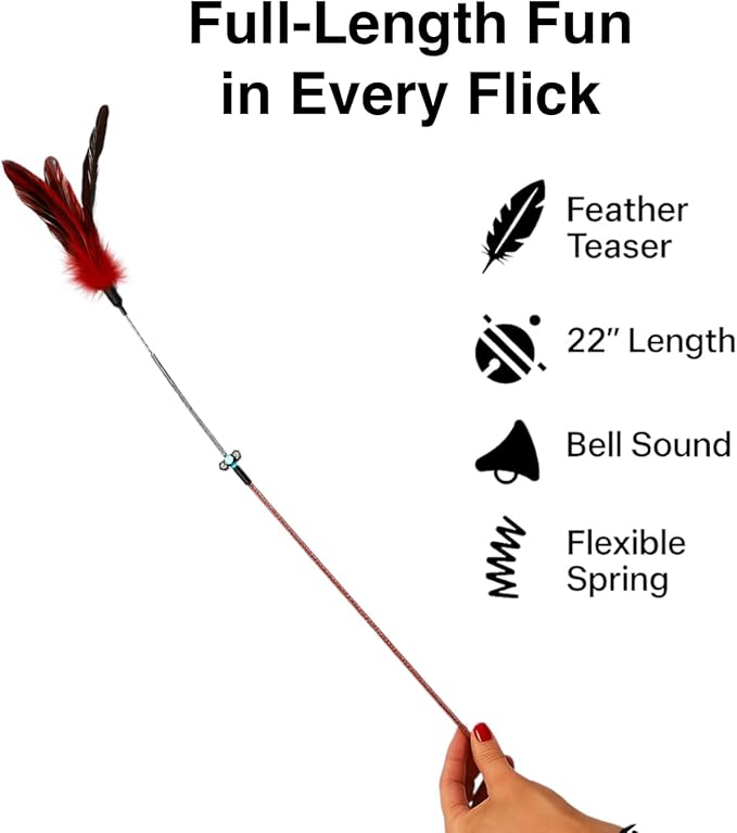 Cat Wand Toy Feather Sticks - 5 Piece Interactive Wands Toy Set with Feathers, Durable Spring Design - Perfect for Engaging Playtime Fun for Kittens and Cats - Cat Toys for Indoor Cats-Mewly Pet