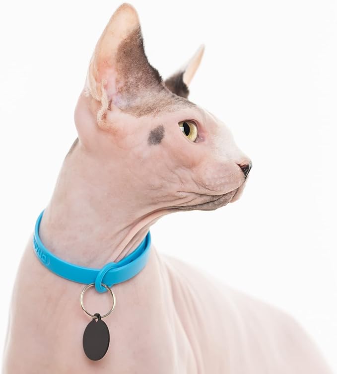 3 Pack Breakaway Cat Collar - Soft, Comfortable, and Lightweight Safety Buckle Collar with Name Tag Ring for Outdoor Cats and Sensitive Skin Kittens by Nuvuq (6 ⅞" to 10 ¼", Blue, Pink and Black)-Mewly Pet