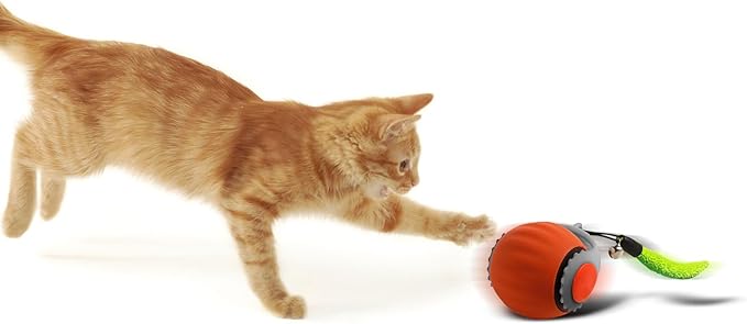 Smart Speedy 3.0 Interactive Cat Ball with Auto Obstacle Avoidance - Indoor Kitten Toy for Mental Stimulation & Playtime Fun ，2025 Edition (Orange)-Mewly Pet