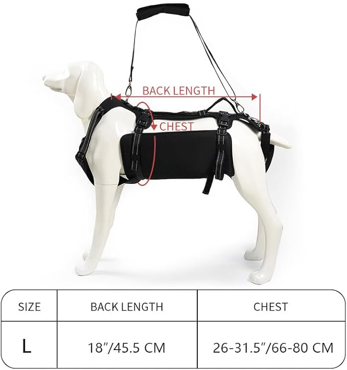 Coodeo Dog Lift Harness, Support & Recovery Sling, Pet Rehabilitation Lifts Vest Adjustable Breathable Straps for Old, Disabled, Joint Injuries, Arthritis, Paralysis Dogs Walk (Black,L)-Mewly Pet